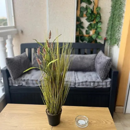 Seavievlamataapartament's Apartment Torrevieja